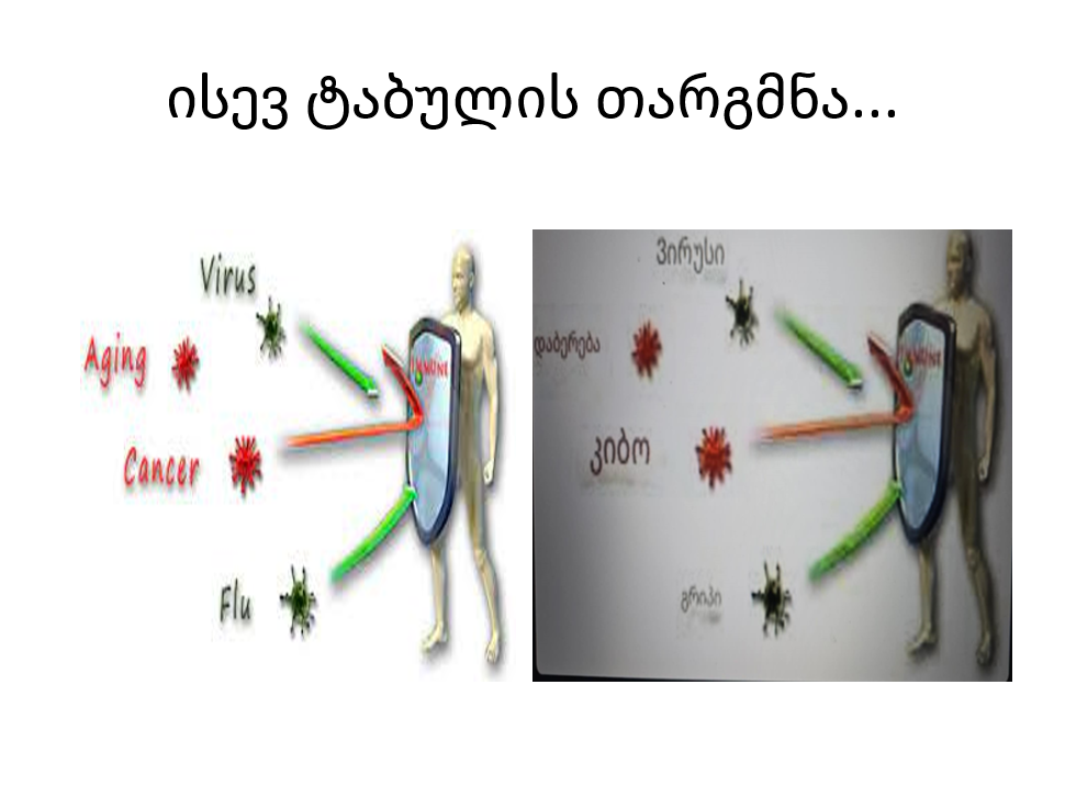 პროექტი